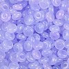 Transparent Colours Glass Seed Beads SEED-P008-01B-05-2