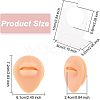 Soft Silicone Mouth Flexible Model Body Part Displays with Acrylic Stands ODIS-WH0002-22-2