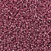 MIYUKI Delica Beads X-SEED-J020-DB0428-3