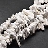 Natural Howlite Chip Beads Strands X-G-E271-53-1