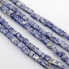 Cube Natural Blue Spot Jasper Beads Strands G-P057-05-1