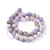 Natural Amethyst Beads Strands X-G-L555-01-10mm-3