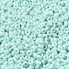 Baking Paint Glass Seed Beads SEED-P006-03A-29-3