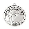Tibetan Style Alloy Big Pendants TIBEP-F077-01B-1