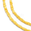 Natural Freshwater Shell Beads Strands SHEL-G013-02H-3