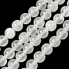 Natural Selenite Beads Strands G-N328-025B-01-1
