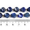 Natural Lapis Lazuli Beads Strands G-L579-08A-5