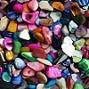 Natural Shell Beads BSHE-WH0003-01C-1