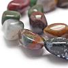 Natural Indian Agate Beads Strands G-P301-14-3