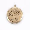 304 Stainless Steel Magnetic Diffuser Locket Pendants STAS-O103-33G-1