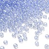 Transparent Colours Glass Seed Beads SEED-H004-01F-1