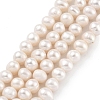 Natural Cultured Freshwater Pearl Beads Strands PEAR-C003-12F-1