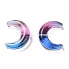 Gradient Handmade Lampwork Beads LAMP-C005-02A-2