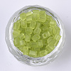 6/0 Transparent Glass Seed Beads SEED-S027-04B-05-2