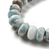 Natural Larimar Beads Strands G-Q024-E03-01-4