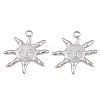 304 Stainless Steel Pendants SA-CBA0F84-05P-1