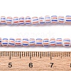 Handmade Lampwork Beads Strands BLOW-K001-01A-09-2