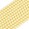 Eco-Friendly Dyed Glass Pearl Round Beads Strands HY-A008-8mm-RB012-1