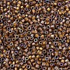 MIYUKI Delica Beads SEED-JP0008-DB1691-3