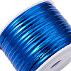  Plastic Wire Twist Ties AJEW-TA0017-18D-12