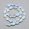 Opalite Bead Strands X-G-T004-22-2