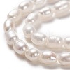 Natural Cultured Freshwater Pearl Beads Strands PEAR-L033-62-01-2