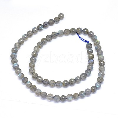 Natural Labradorite Beads Strands G-F602-04-6mm-1