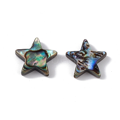 Natural Abalone Shell/Paua Shell Beads SSHEL-M021-07-1