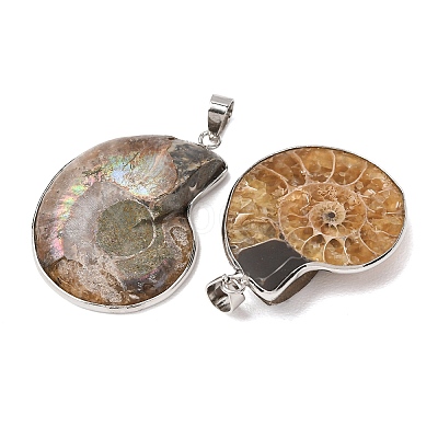 Snail Fossil Pendants G-D051-1-1