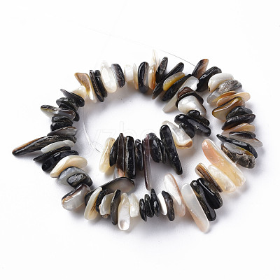 Natural Black Lip Shell Bead Strands SSHEL-N304-102-1