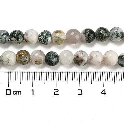 Natural Tree Agate Round Gemstone Beads Strands X-G-R255-6mm-1
