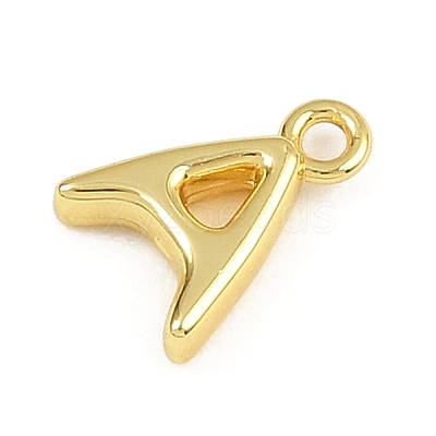 Stainless Steel Charms KK-I352-02G-1-1