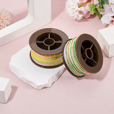 2 Rolls 2 Colors Segment Dyed Round Polyester Twisted Cords OCOR-TA0003-65A-1