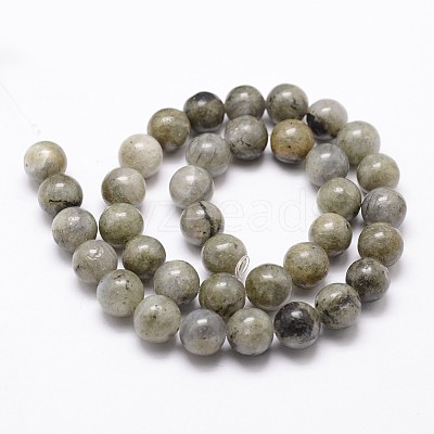 Natural Labradorite Bead Strands G-G735-29-6mm-1