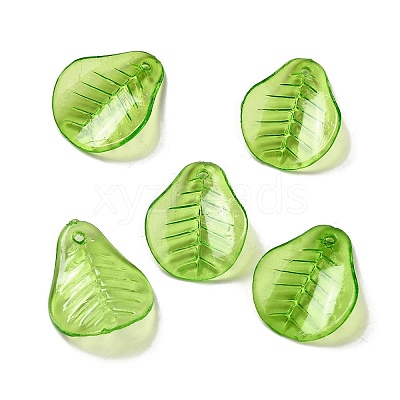 Transparent Acrylic Pendant OACR-E039-69F-1
