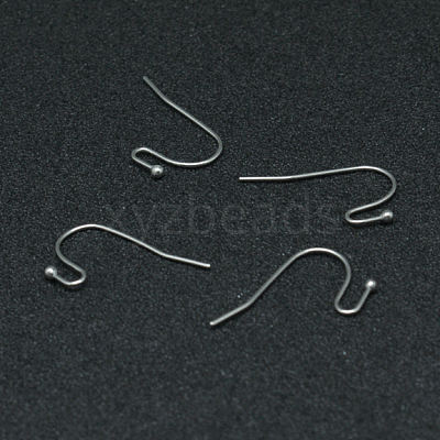 Tarnish Resistant 304 Stainless Steel Earring Hooks STAS-G140-73P-1