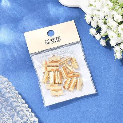 SHEGRACE Brass Ribbon Crimp Ends XGR0063G-58G-1
