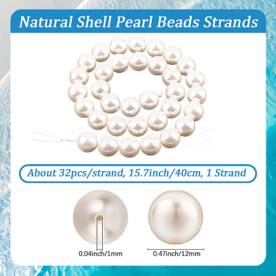 1 Strand AB Color Plated Shell Pearl Round Beads Strands BSHE-LT0001-01-1