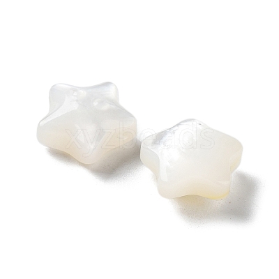 Natural White Shell Beads SHEL-M020-02A-1