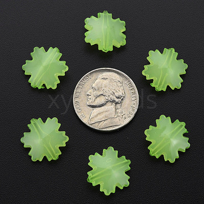 Imitation Jelly Acrylic Beads LS-MACR-S373-92-E06-1