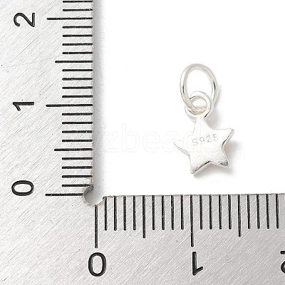 S925 Sterling Silver Pendant LS-STER-H115-04B-S-1