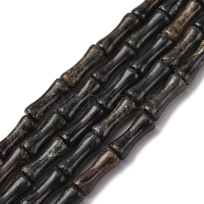 Natural Biotite Beads Strands G-L624-G09-12x5mm-1