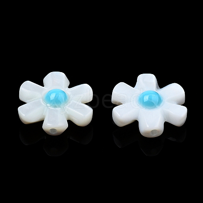 Natural Freshwater Shell Enamel Beads SHEL-N003-27A-1