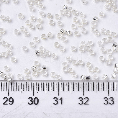 Glass Seed Beads X1-SEED-S042-04A-06-1