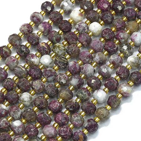 Natural Plum Blossom Tourmaline Beads Strands G-K389-E87-01-1