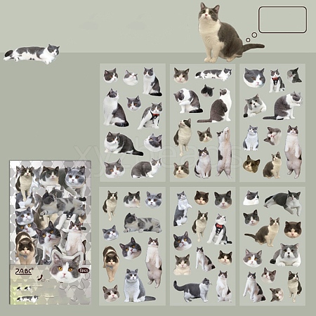 DIY Waterproof PET Picture Stickers PW-WG553D1-01-1