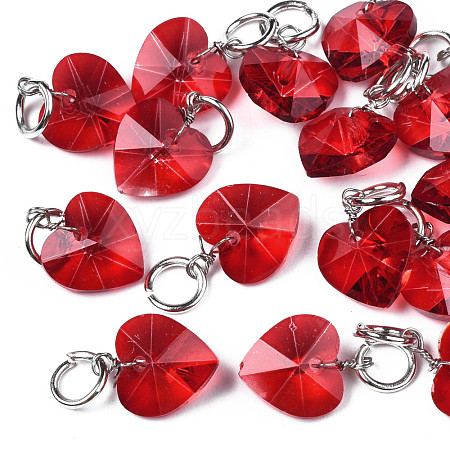 Faceted Transparent Glass Charms GLAA-T024-04I-1