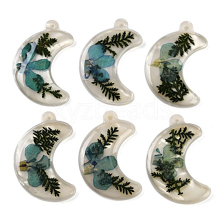 Epoxy Resin Pendants RESI-S09-01A-RS-1