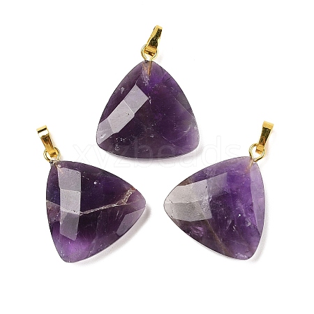 Natural Amethyst Pendants G-L614-D04-G01-1