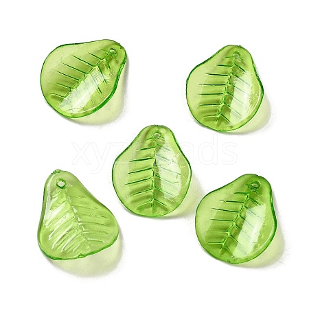 Transparent Acrylic Pendant OACR-E039-69F-1